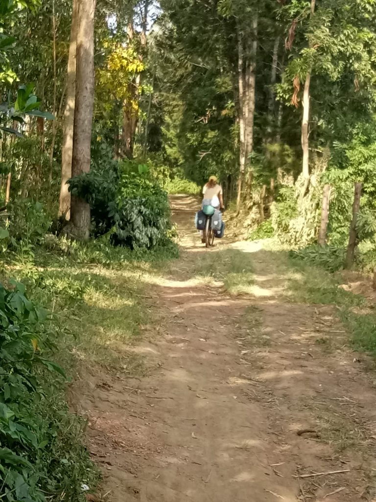 A peaceful pathway through the bamboo forest at Jatonet Gardens, leading visitors into a serene natural environment for prayer, meditation, reflection and peaceful conversations with God.